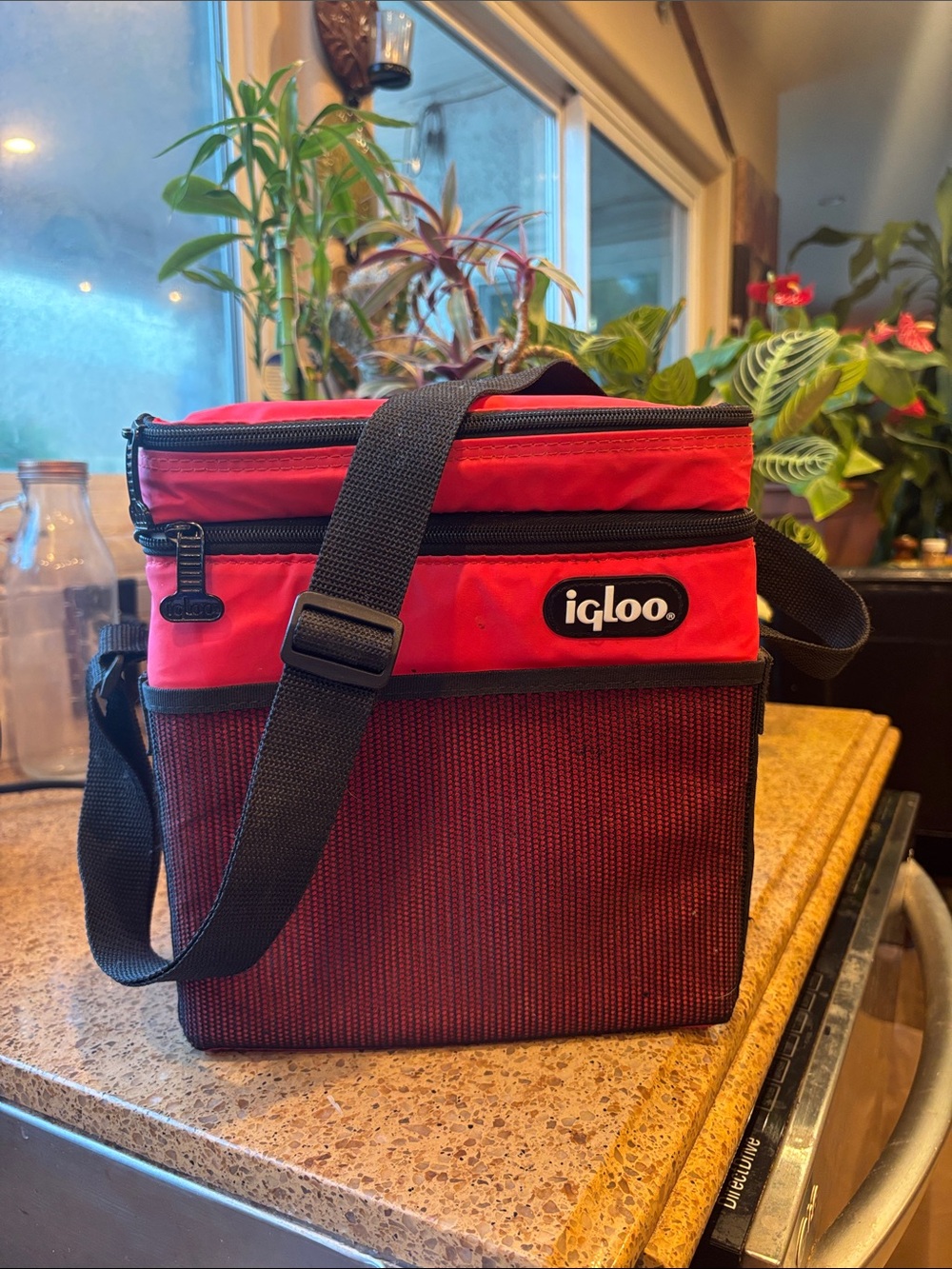 Igloo Red and Black Insulated Shoulder Cooler Tote with 2 zipper up 10x6x5
